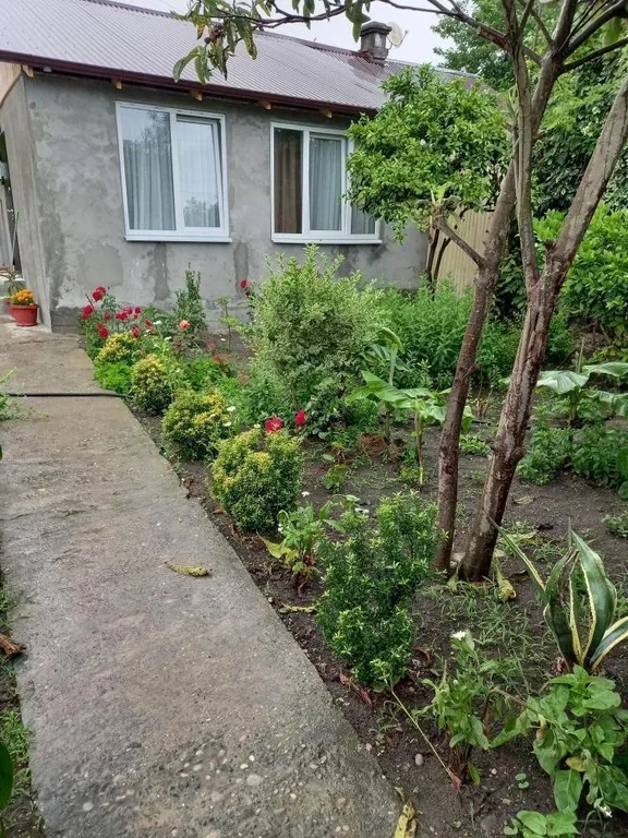 Коттедж Уютный домик у моря — аренда посуточно в Молочный совхоз