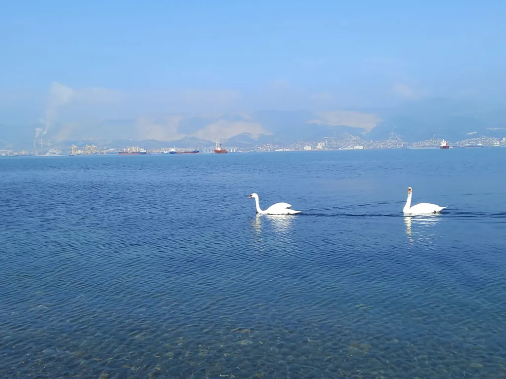 Атмосфера уюта у самого моря