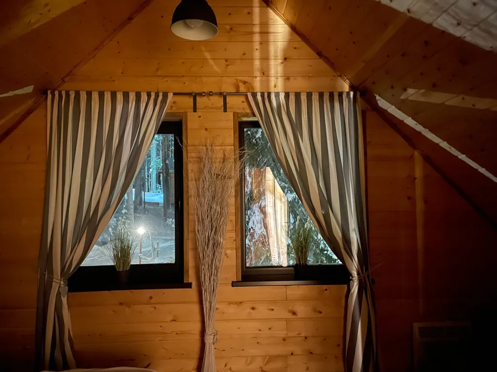 Сосновое шале на берегу Сямозера