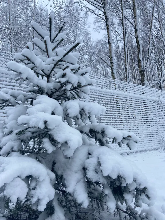 Дом в стиле A-frame