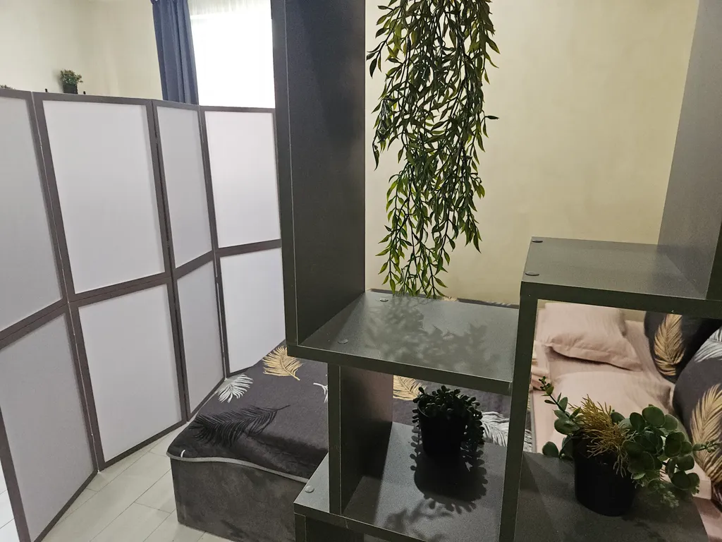 Апартаменты  Deluxe & SPA, бассейн, сауна