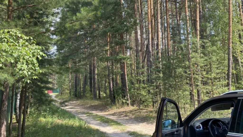 Дом - баня в дали от городской суеты