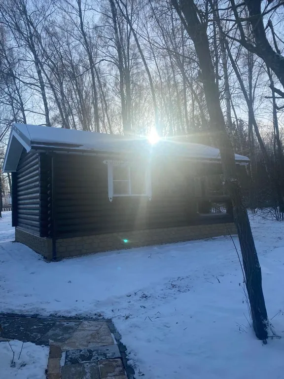 Уютный домик в лесу у пруда