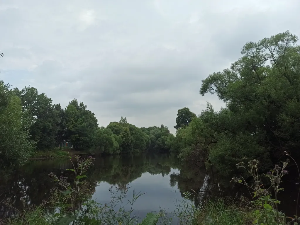 Уютный бревенчатый дом Life veranda на берегу пруда с баней на дровах