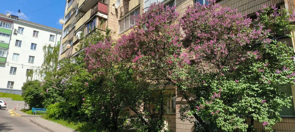 Квартира Двухкомнатная квартира в центре Немига — Минск