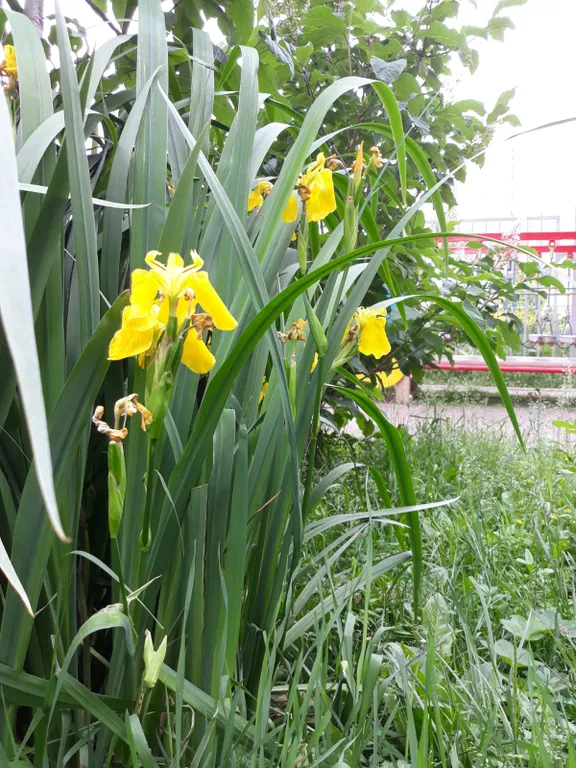 Видовая студия Выше Радуги