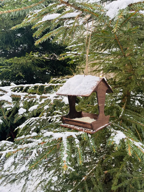 Панорамный дом в лесу