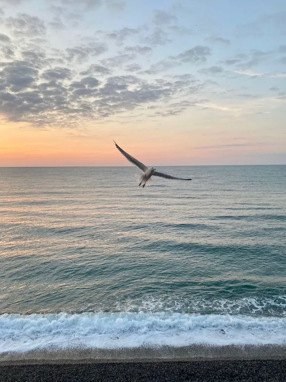 Апартаменты Золотые пески у моря