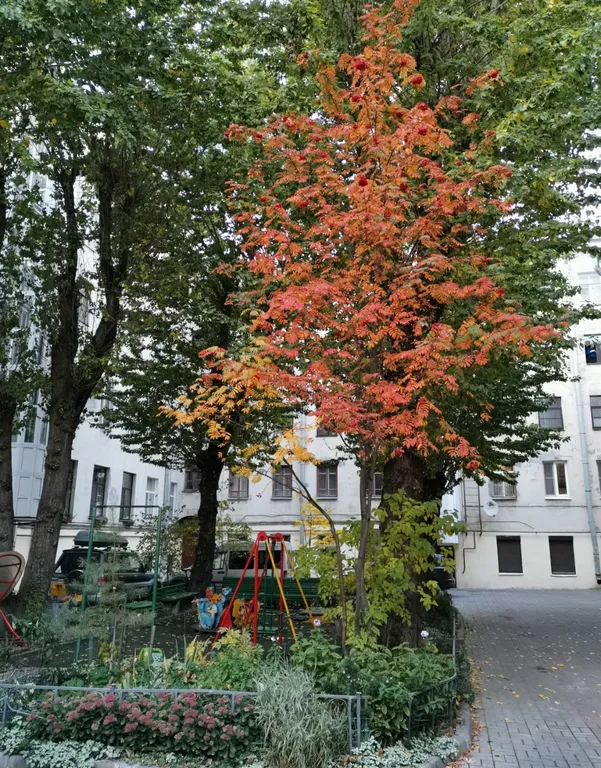 Квартира Уютная видовая квартира в центре города — Санкт-Петербург