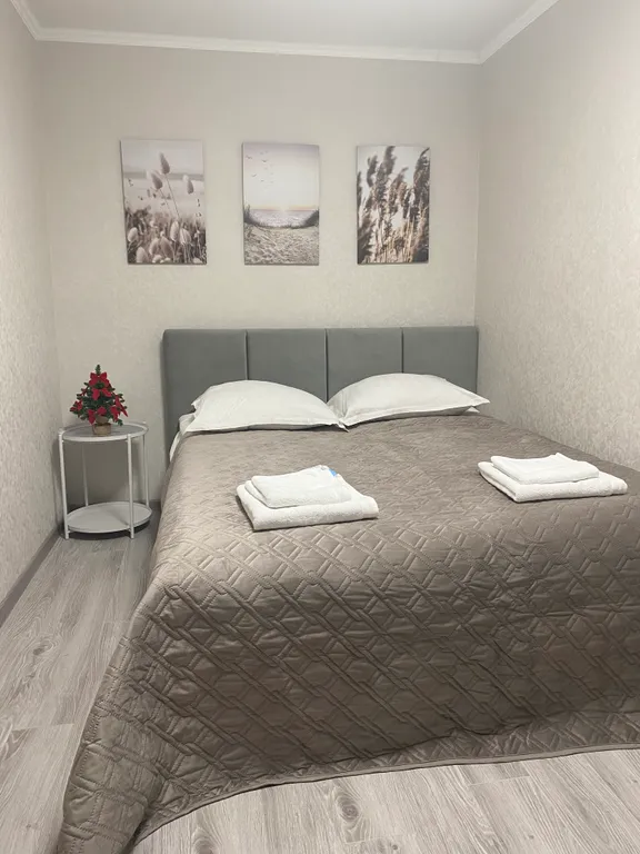 Квартира Квартира Апартамент Высокий мост — Калининград