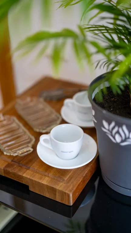 Просторный апартамент возле парка в центре Ваке