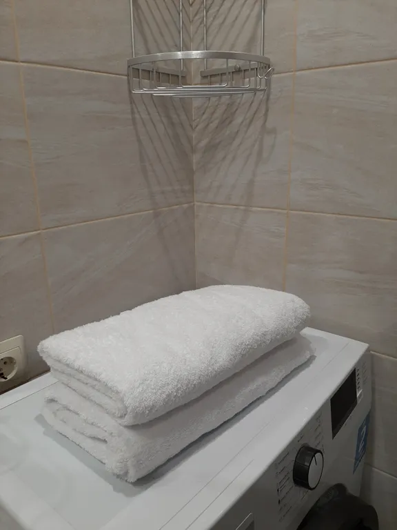 Квартира Уютная квартира с большой террасой — Сочи