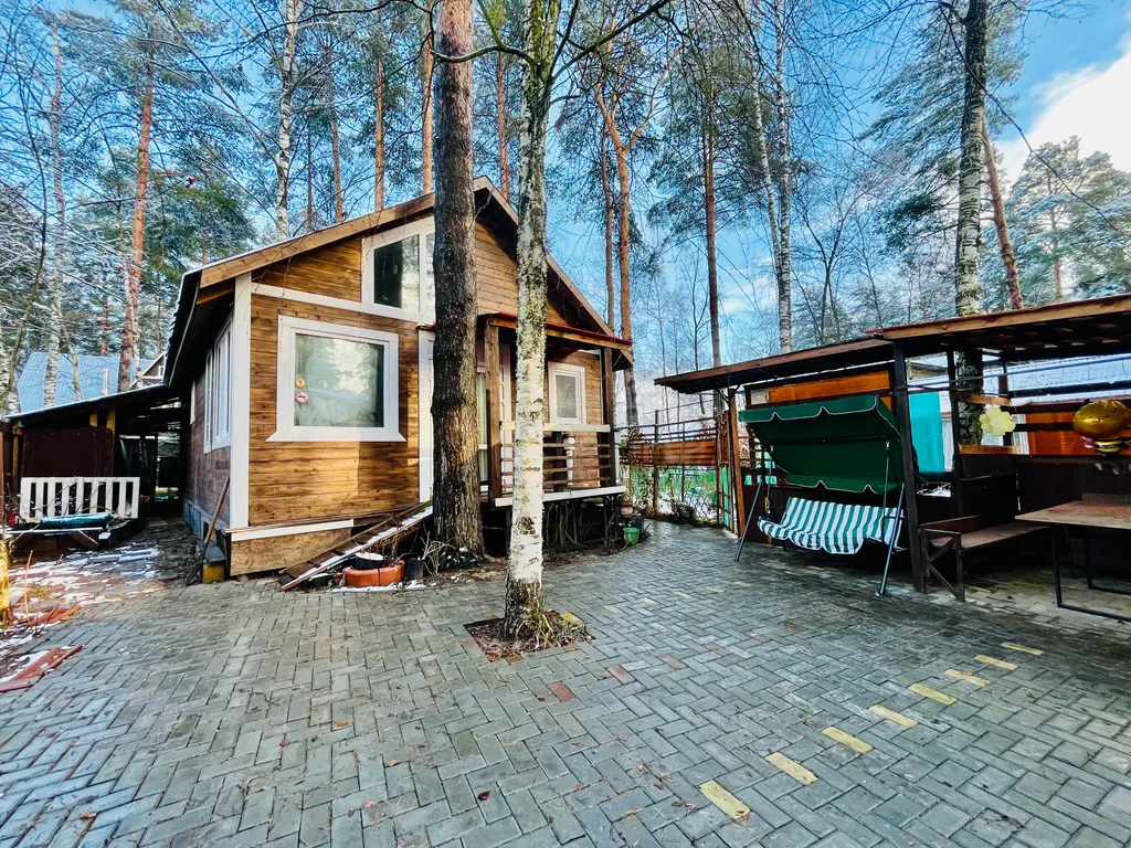 Уютный дом с гусями