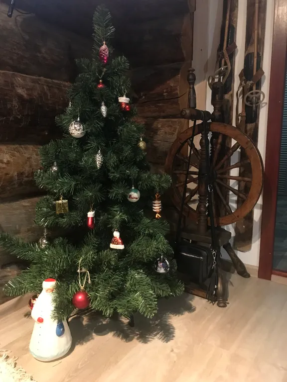 Коттедж Эко-дом с роскошными видами на берегу озера — аренда посуточно в Петрозаводск