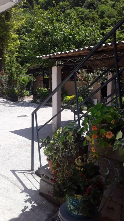 Квартира Квартира Номер в частном секторе — Гагра