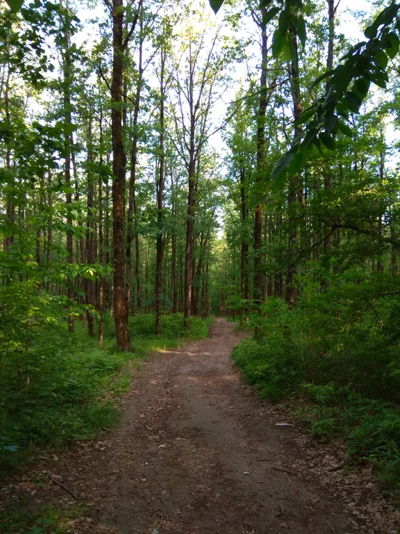 Коттедж Дом с открытой террасой и видом на горы и лес — Горячий Ключ