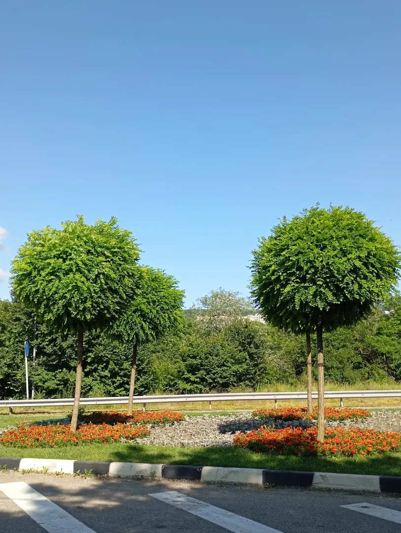 Фото