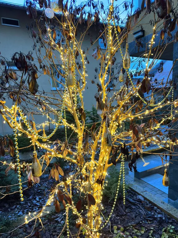 Куб-Терра студия Мини-Макс