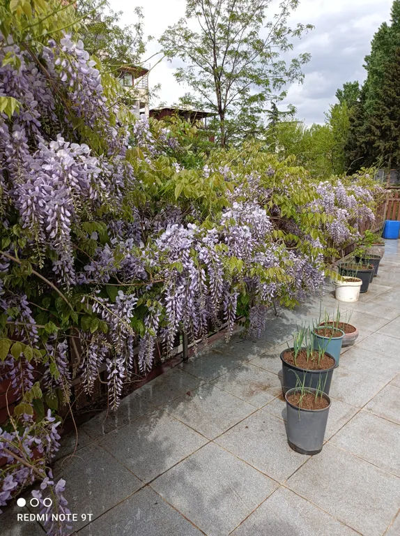 Двухкомнатный номер в мини-отеле у Этнографического музея