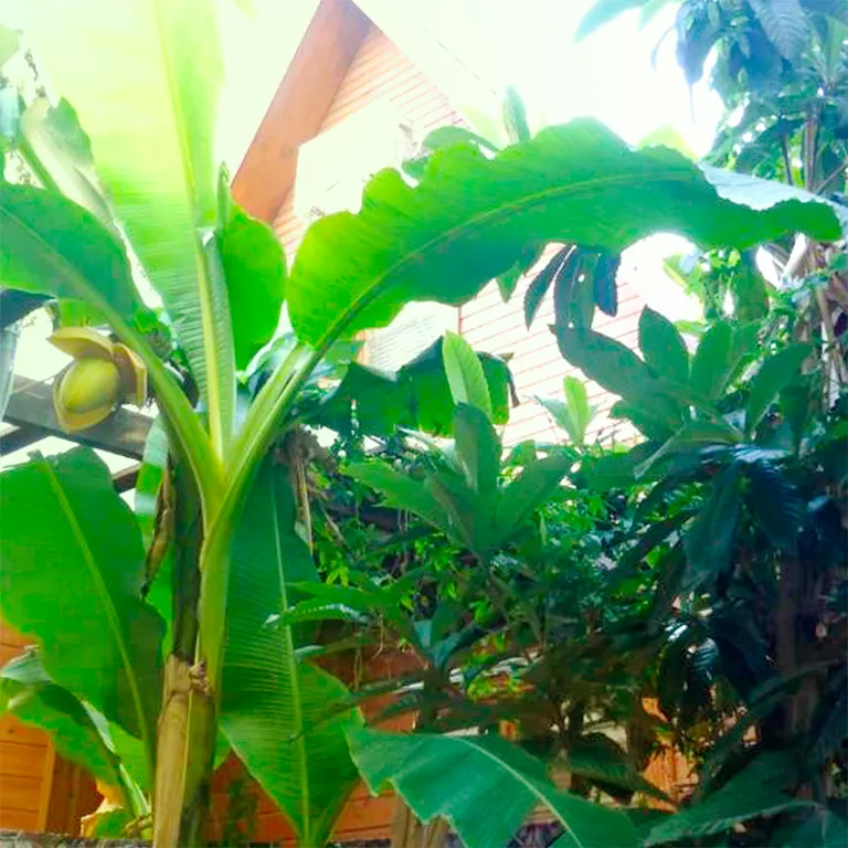 Коттедж Домик у Морпорта — Сочи