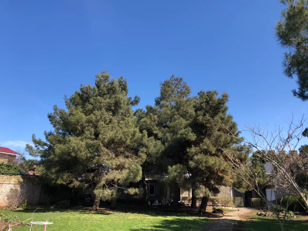 Вилла Корфу