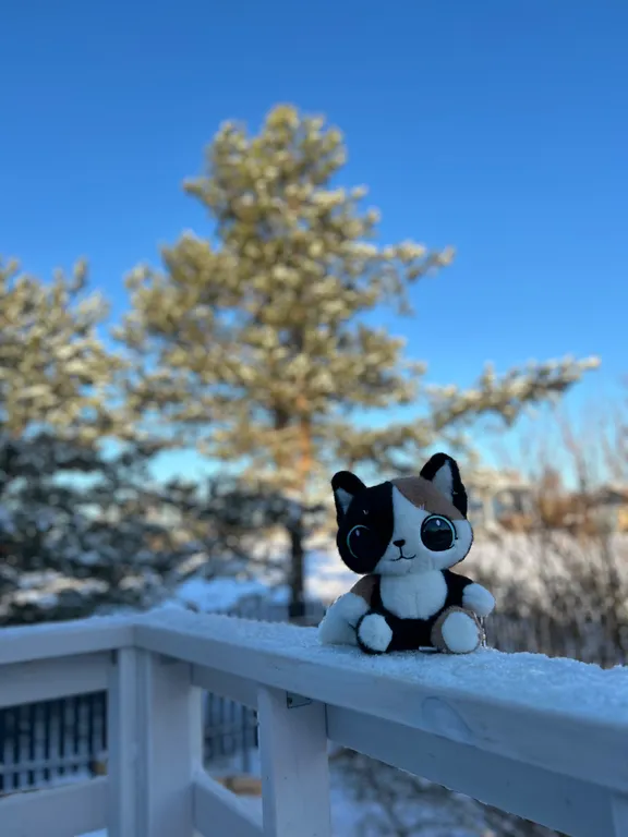 Новый дом с сауной рядом с горнолыжными склонами