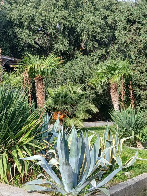 Уютный апартамент в ЖК Зазеркалье Ялта Приморский парк