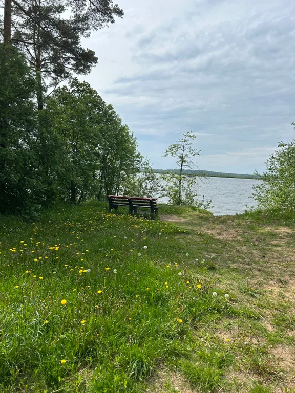 Уютный барнхаус по приятной цене недалеко от города