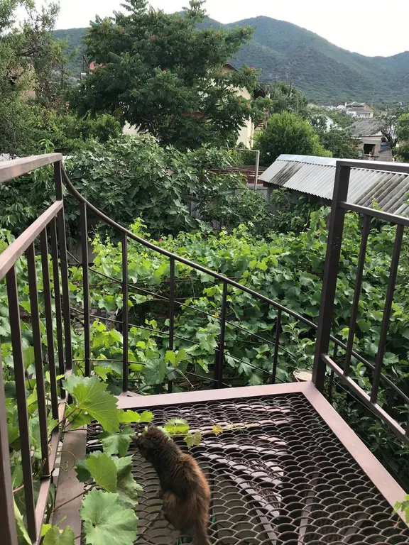 Квартира Комната — Судак