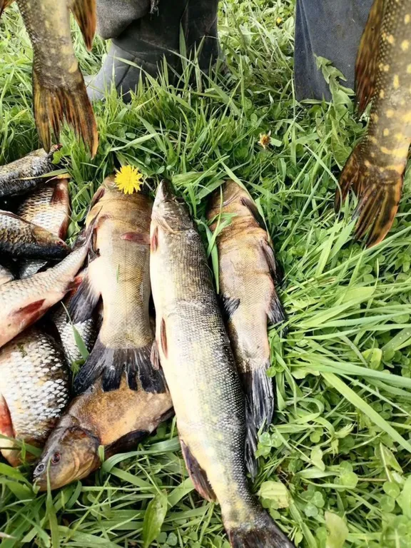 Дом баня на берегу водоема