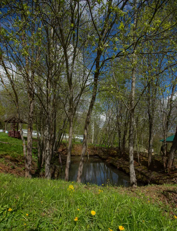 Большой трехэтажный дом