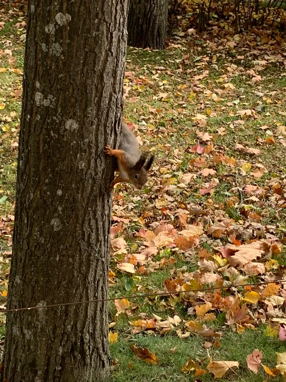 Уютная квартира в 300 метрах от Фонтанов