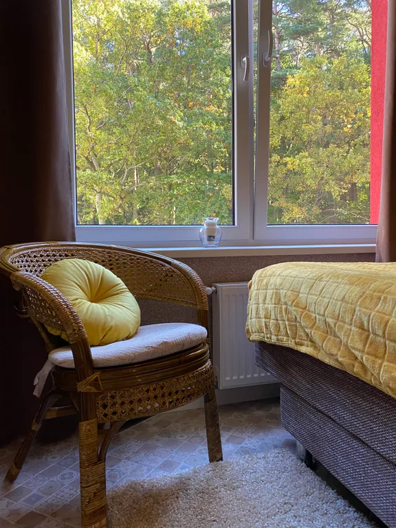 Оливия апартаменты в лесу возле озера