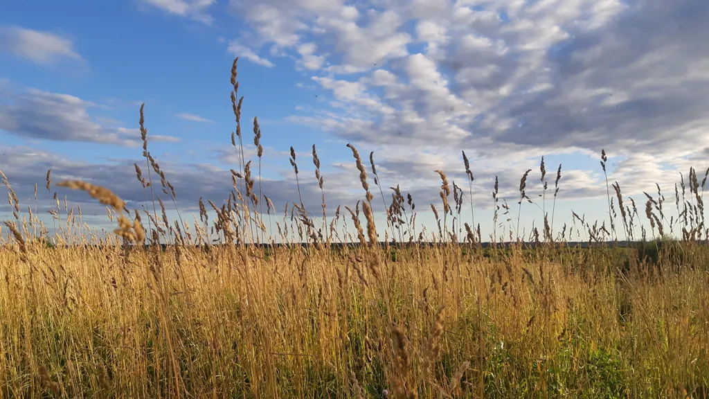 Уютный уголок русского Севера