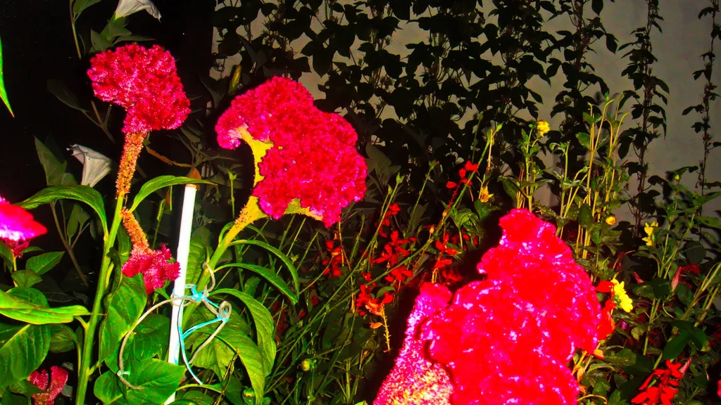 Коттедж 3-х комнатный дом в центре — Феодосия