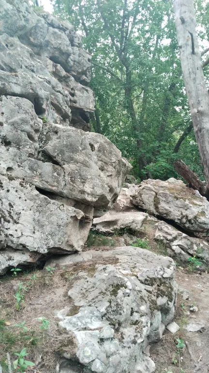 Гостевой домик