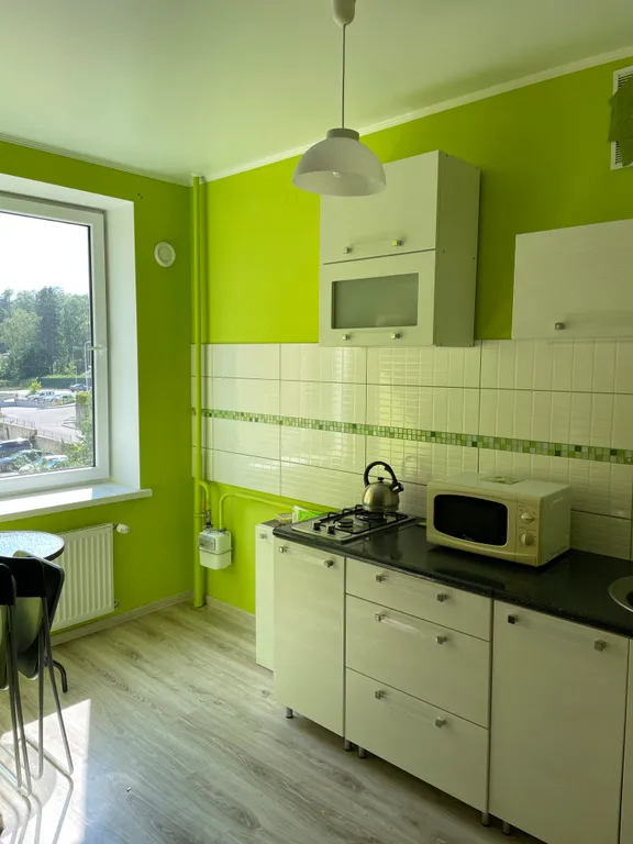 Студия у озера Тихое и лесной зоны