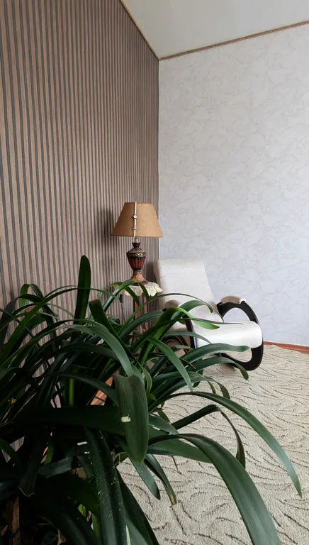 Большой уютный дом с камином и зоной для посиделок во дворе