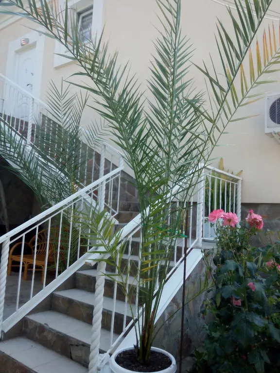 Комната Уют