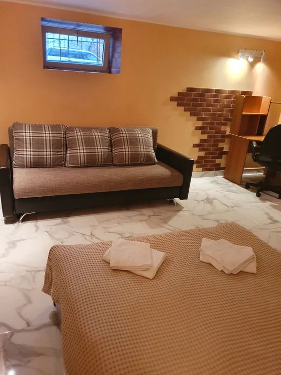 Двухуровневая 5-комнатная квартира в центре Амалиенау с зоной барбекю