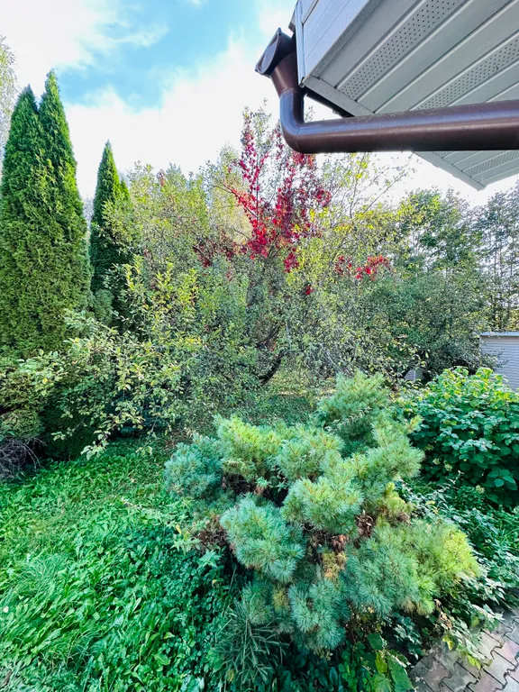 Дом с бассейном у леса