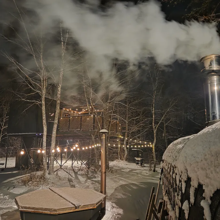 Коттедж Домик на дереве Alderwood lodge — аренда посуточно в Владимир