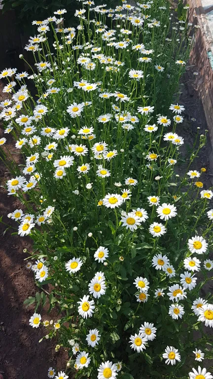 Уютно, комфортно и доступно