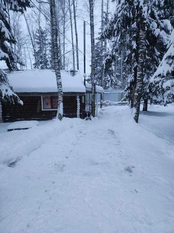 Уютный бревенчатый дом и баня, на одном участке