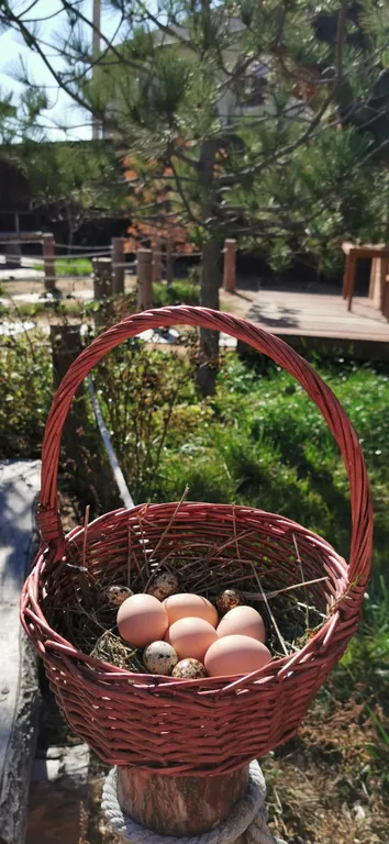 Дом на берегу моря