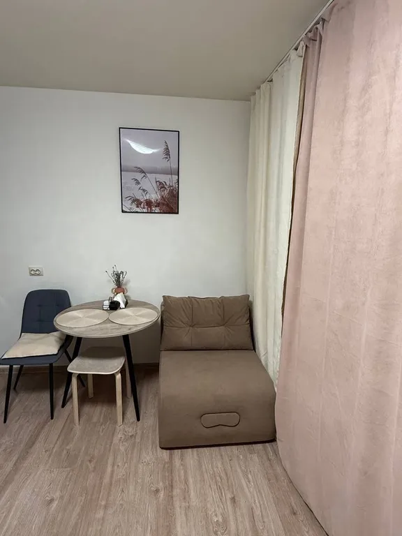 Уютная студия Рощинская 26 с видом на пруд