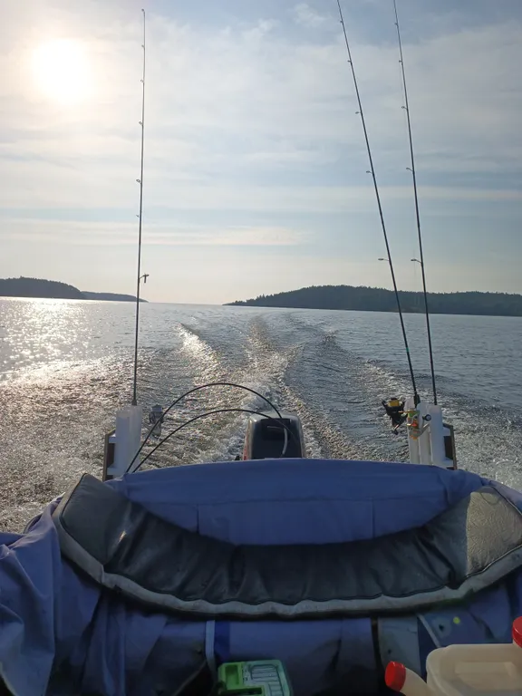 Домик У Ёлки