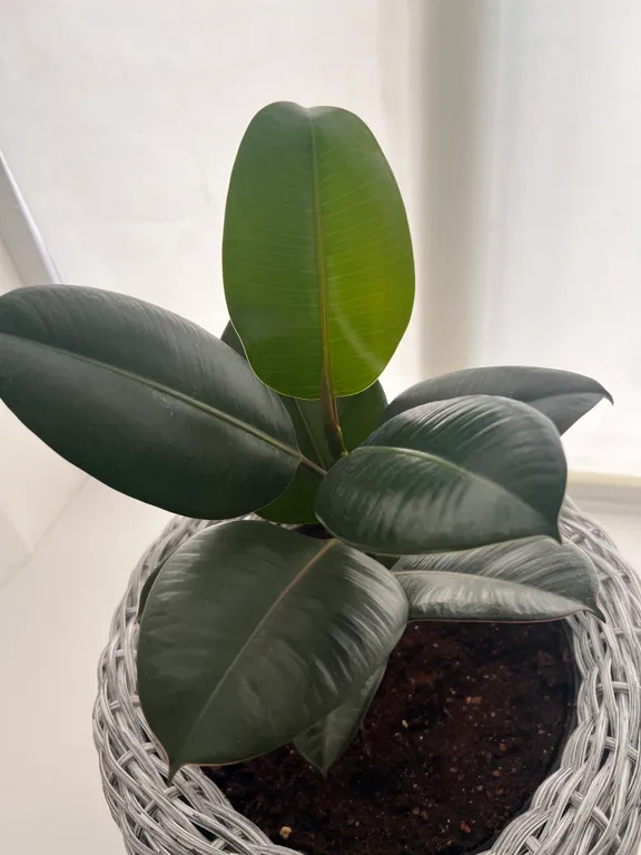 Уютная студия в центре города в районе Марьинского сквера