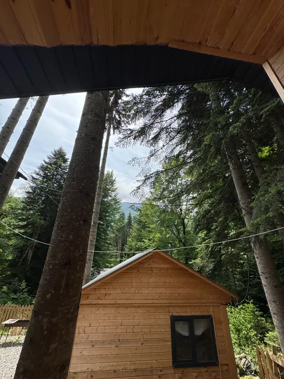 Двухкомнатный домик с видом на горы в лесу