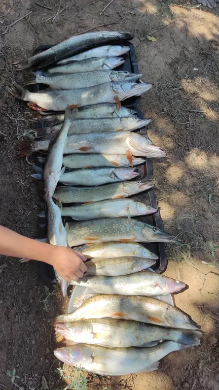 Уютный дом для отдыха и рыбалки на 1-й береговой линии